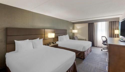 Executive Queen Room with Two Queen Beds