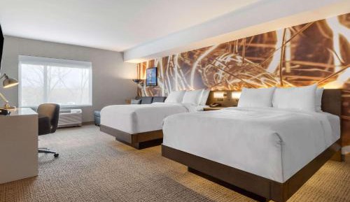 1 Bedroom Queen Suite with 2 Queen Beds 