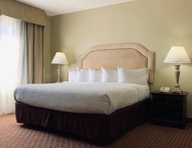 King Suite with Sofa Bed