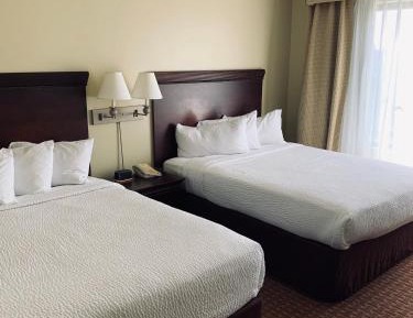 Queen Suite with Sofa Bed