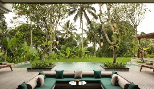 Inara Presidential with Rice Field View