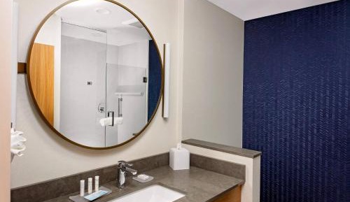 Suite, 1 King, Sofa bed