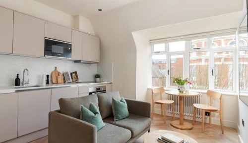 One-bedroom Loft Apartment 