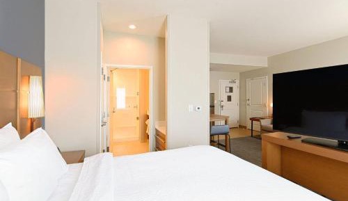 Studio, 1 King, Sofa bed