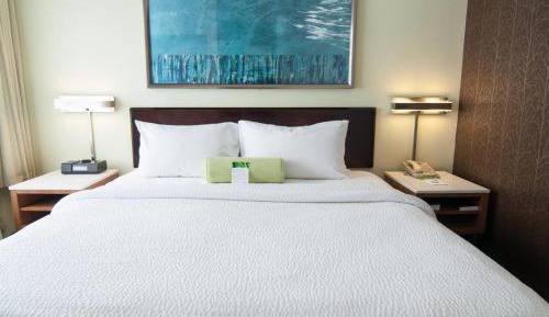 King Studio with Sofa Bed