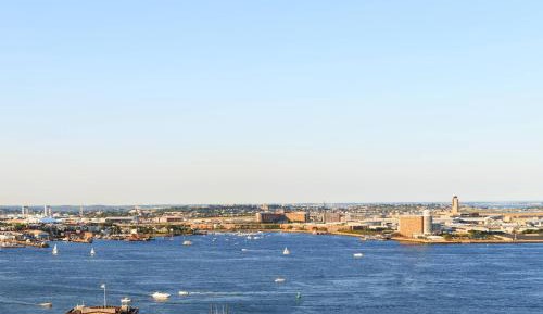 Suite, 1 King, Sofa bed