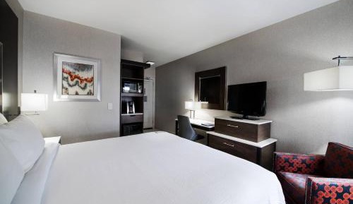 Studio with King Bed