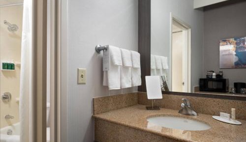 One Bedroom King Suite with Sofa Bed