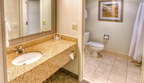 One-Bedroom King Suite with Sofa Bed