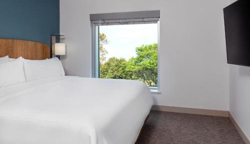 1 Bedroom Suite, 1 King, Sofa bed