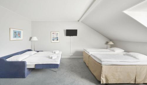 Efficient Family Room with King Bed and Non-Private Sofa Bed