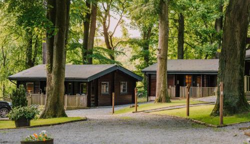 Scandinavian Log Cabin - Premier