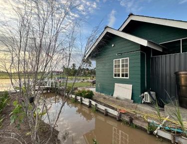 Family Room with Garden View