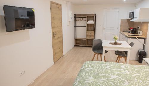 Studio Apartment