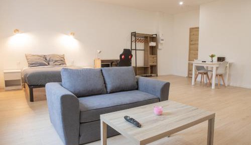 Studio Apartment
