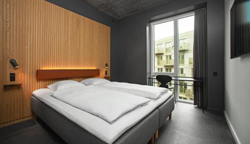 Standard Double Room with One King Bed