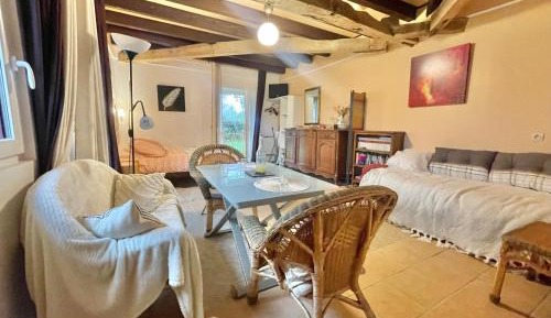 Studio with Garden View