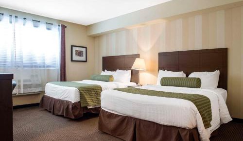 Queen Room with Two Queen Beds - Non-Smoking