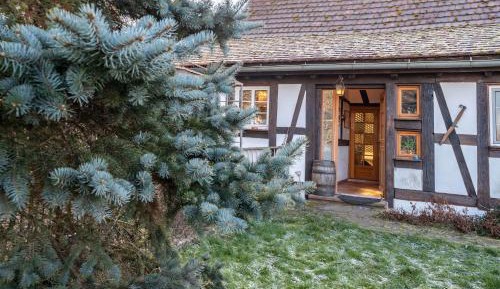 One-Bedroom Apartment with Garden View