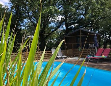Double Room with Pool View