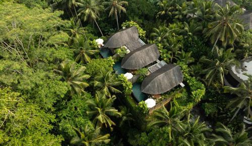 Jungle Pool Villa 