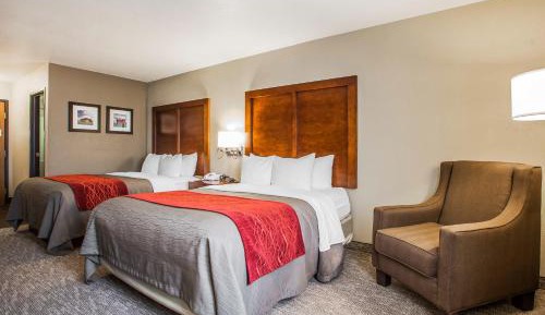 Queen Room with Two Queen Beds - Non-Smoking