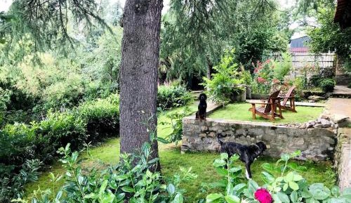 Quadruple Room with Private Bathroom