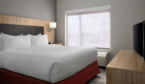 1 Bedroom Suite, 1 King, Sofa bed