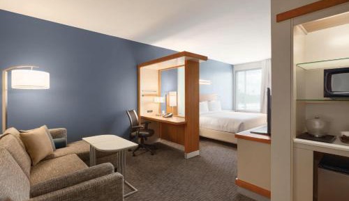 One-Bedroom King Suite with Roll-In Shower, Transfer Shower and Sofa Bed - Mobility Access