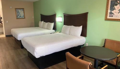 Standard Double Room