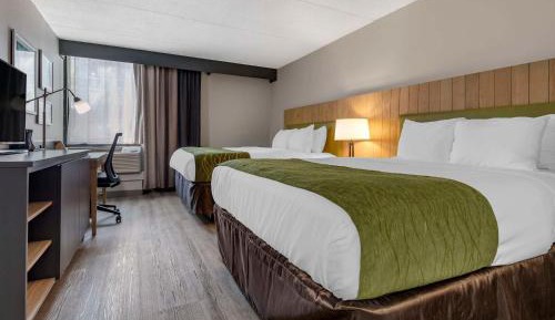 Standard Queen Room with Two Queen Beds - Non Smoking 