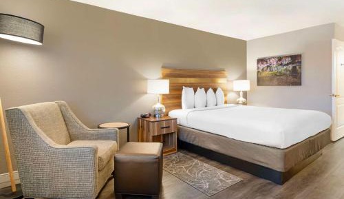 King Room - Non-Smoking