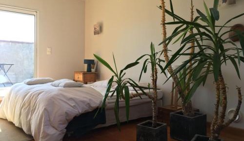 Apartment with Shower