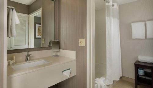 1 Bedroom 2 room Suite, 1 King, Sofa bed