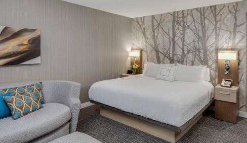 King Room with Sofa Bed and Roll-in Shower - Mobility and Hearing Accessible