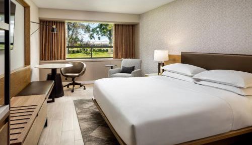 Guest Room, 1 King