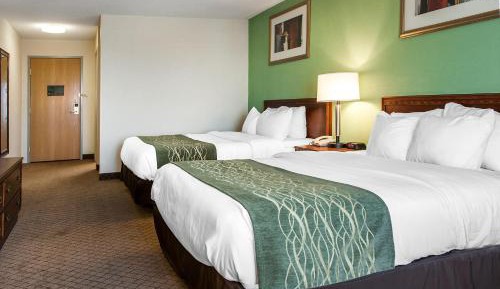 Queen Room with Two Queen Beds