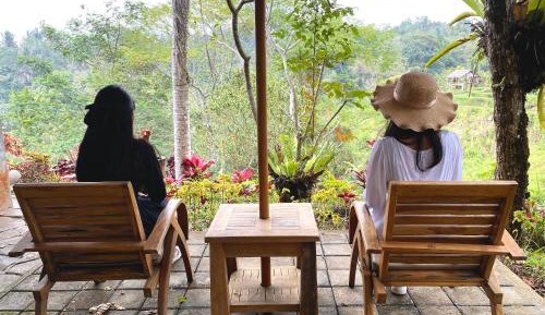 Standard Double or Twin Room with Garden View