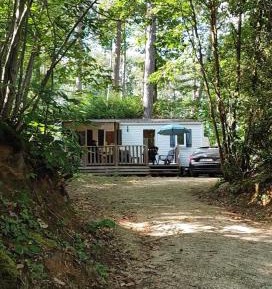 Mobile Home