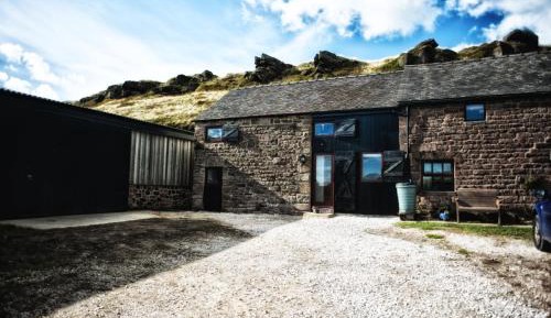 Studio Apartment - Happy Hare