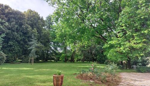Double or Twin Room with Garden View