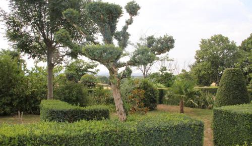 Double Room with Garden View
