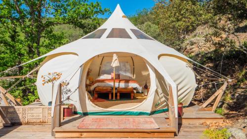 Tent