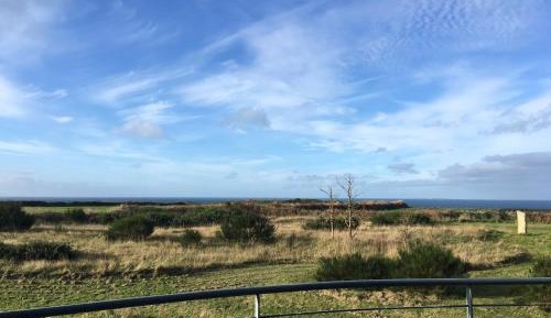 Studio with Ocean View