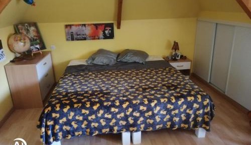 King Room with Garden View