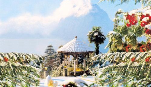 Two-Bedroom Apartment with Lake View