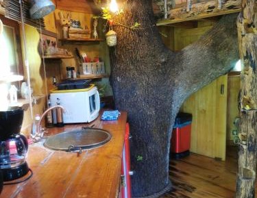 Family Room with Bathroom