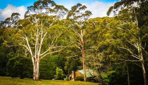 Two-Bedroom Cottage - Crescent Moon