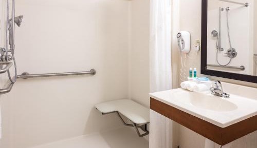King Room with Roll in Shower - Hearing Accessible/Non-Smoking 