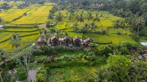 One-Bedroom Villa with Private Pool and Rice Field View